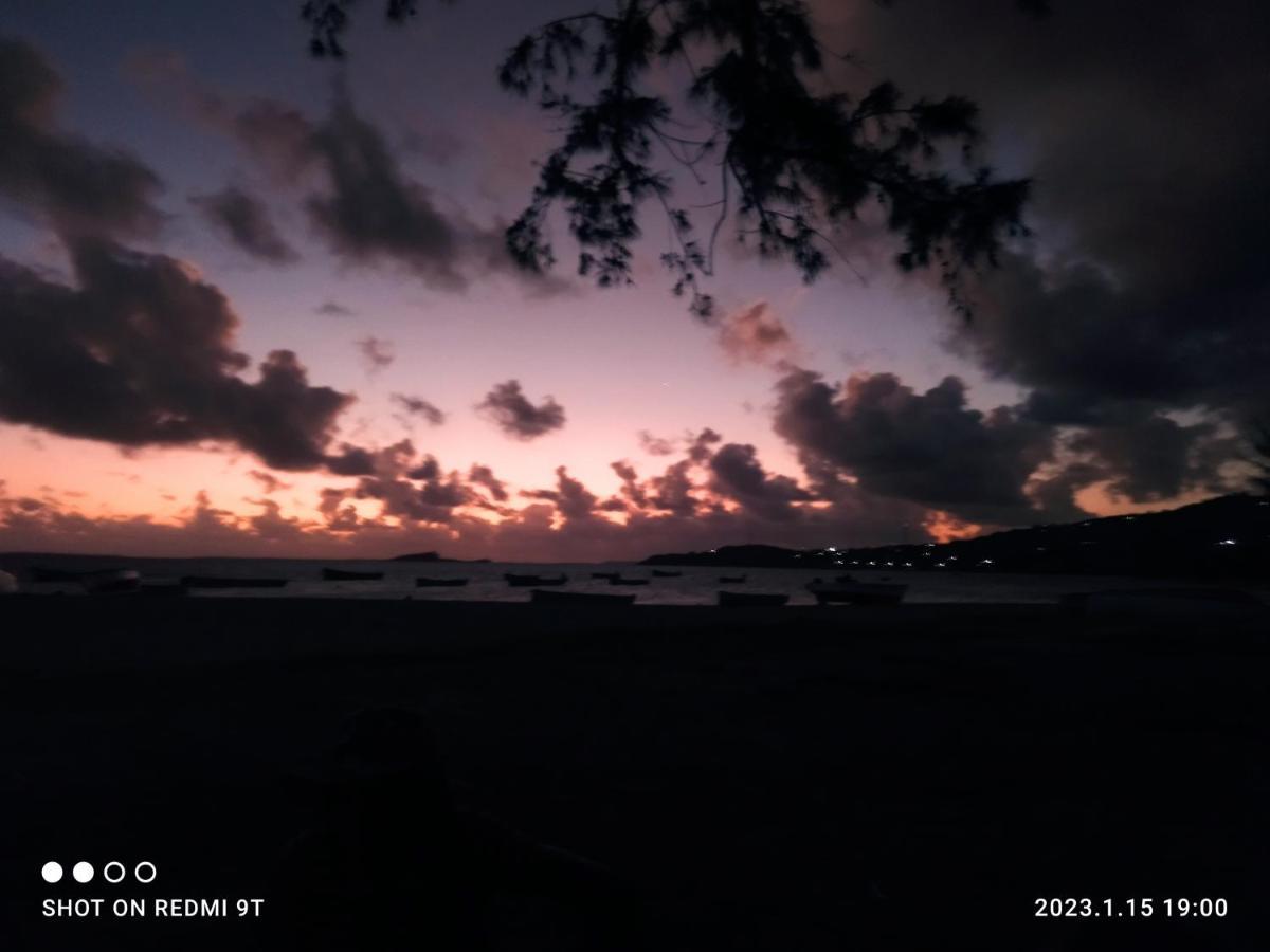 فندق La Terrasse Port South East المظهر الخارجي الصورة